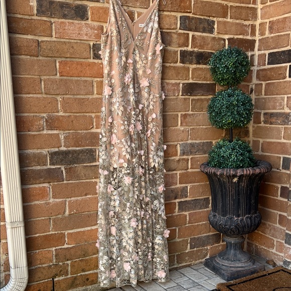 Dress the Population Dresses & Skirts - Dress the Population Blush Floral Embroidered Tulle Long Dress